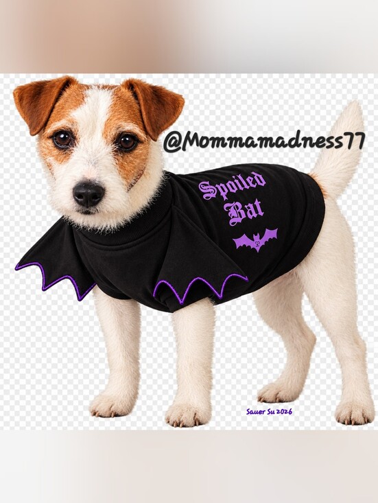 PINK Victoria's Secret Other - 👻PINK Victoria's Secret Black & Purple 'Spoiled Bat' Dog Costume Jacket🦇